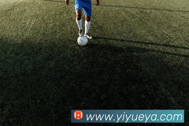 多媒体互动体验