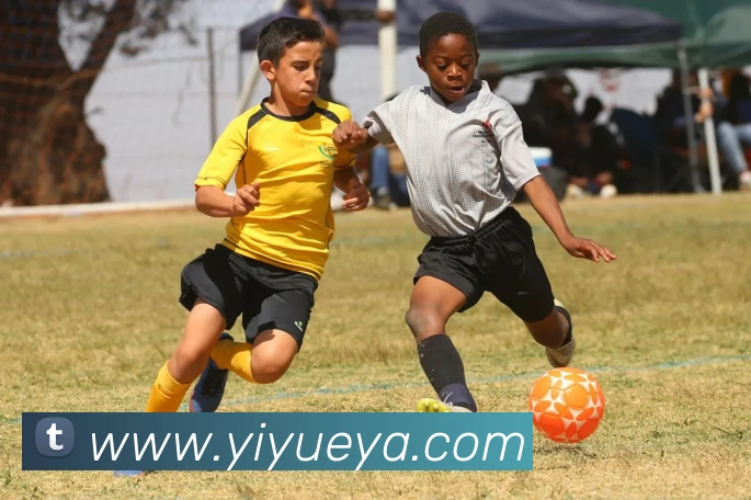 米兰体育官网登陆APP 高清赛事图